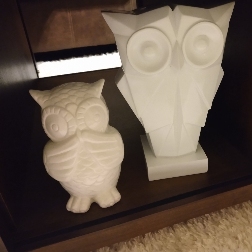 Brand New Origami Owls